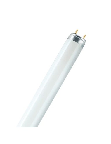 Tubo fluorescente 18 w 6500 k 1250 lm t8 60 cm g13 luz fria