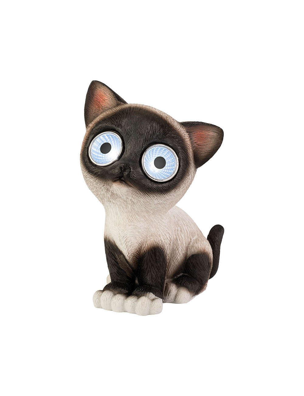 Gato luz solar, modelos variados