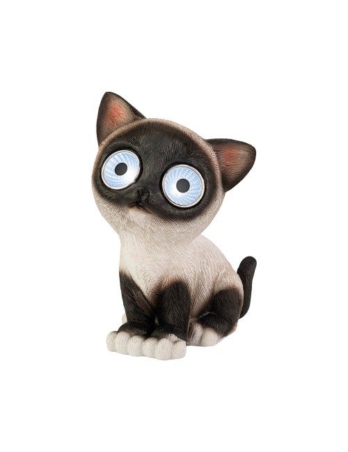 Gato luz solar, modelos variados
