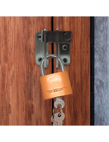 Candado de arco normal basic cn17, latón, 20 mm