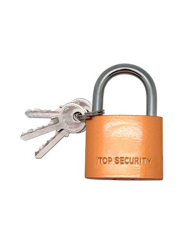 Candado de arco normal basic cn17, latón, 30 mm