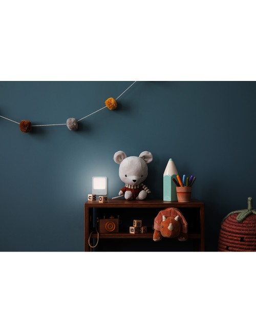 Piloto de noche con sensor de movimiento y enchufe