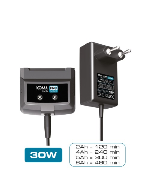 Cargador de bateria 20 v 30 w