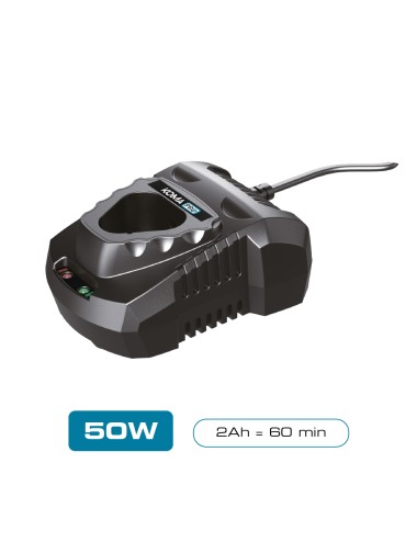 Cargador de bateria 2.0 ah 12 v, 50 w