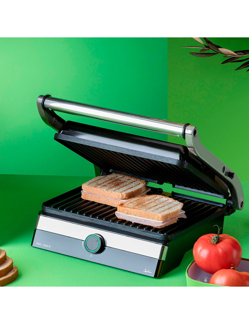 Grill de asar doble 2000 w
