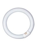 Tubo fluorescente circular 20w, g10q, luz fria ø210 mm