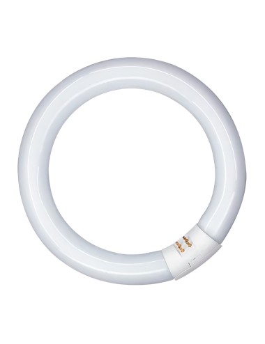 Tubo fluorescente circular 20w, g10q, luz fria ø210 mm