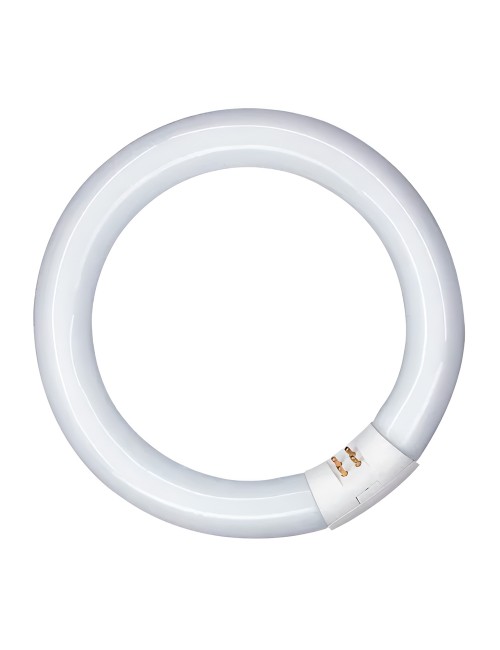 Tubo fluorescente circular 20w, g10q, luz fria ø210 mm