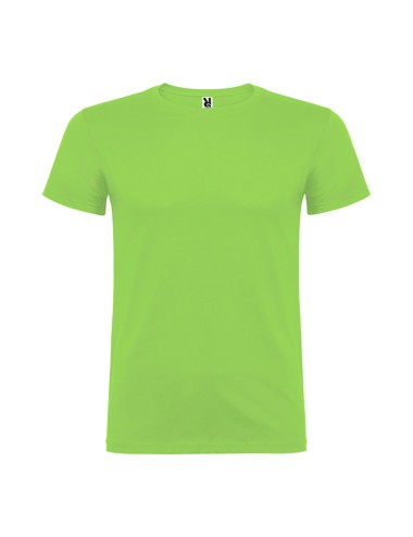 Camiseta beagle verde oasis t.m