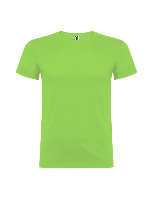 Camiseta beagle verde oasis t.l