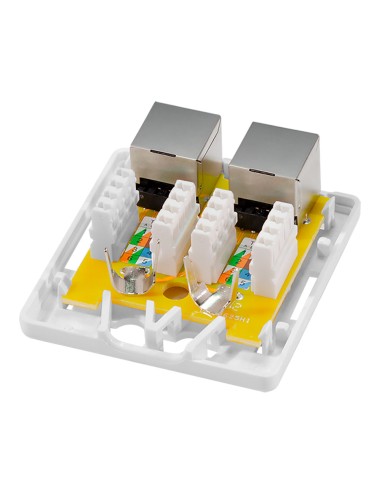 Caja de superficie 2 conectores rj45 cat. 6a apantallado