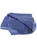 Toldo de Plástico Ligero Azul  5x8 m