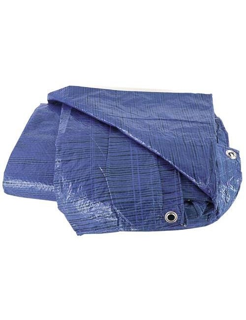 Toldo de Plástico Ligero Azul  5x8 m