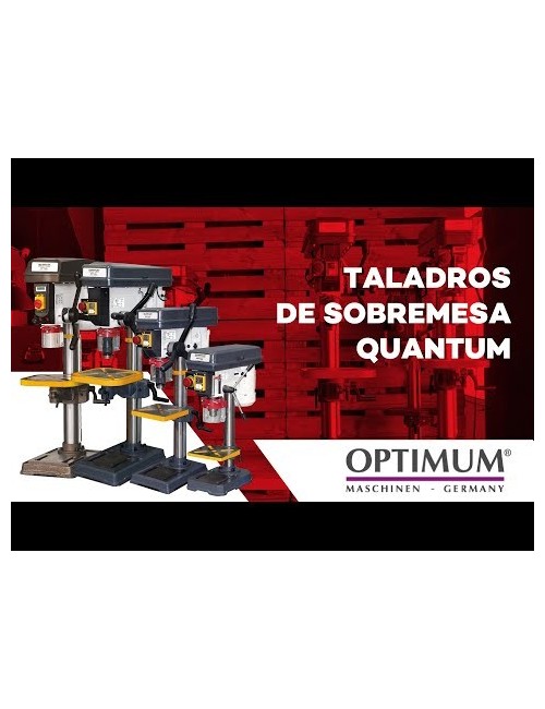 TALADRO QUANTUM DQ20  230V