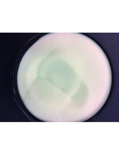 Microesfera de Vidrio  100/200 (sacos 25Kg)