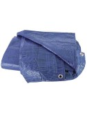 Toldo de Plástico Ligero Azul  2x3 m